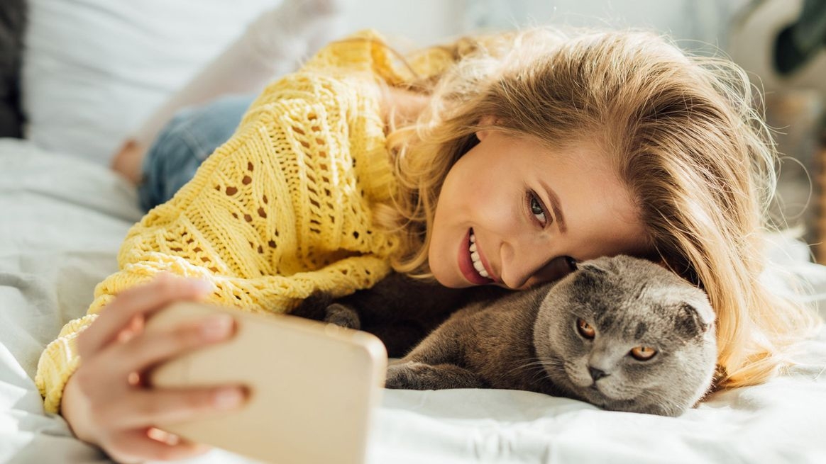 Frau mit Katze und Smartphone auf einem Bett