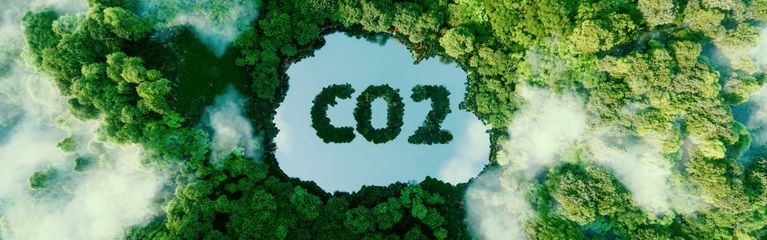 Ansicht von oben auf einen üppigen Wald, in der Mitte ein See. Auf dem blauen Wasser steht in grüner Schrift „CO2“.