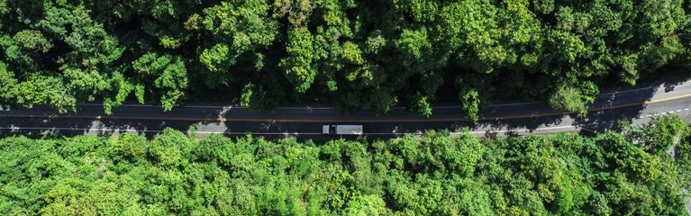 Luftaufnahme einer Straße durch einen Wald. Auf der Straße fährt ein LKW.