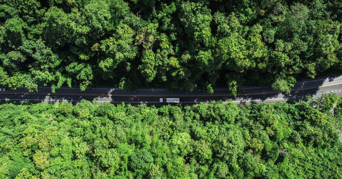 Luftaufnahme einer Straße durch einen Wald. Auf der Straße fährt ein LKW.