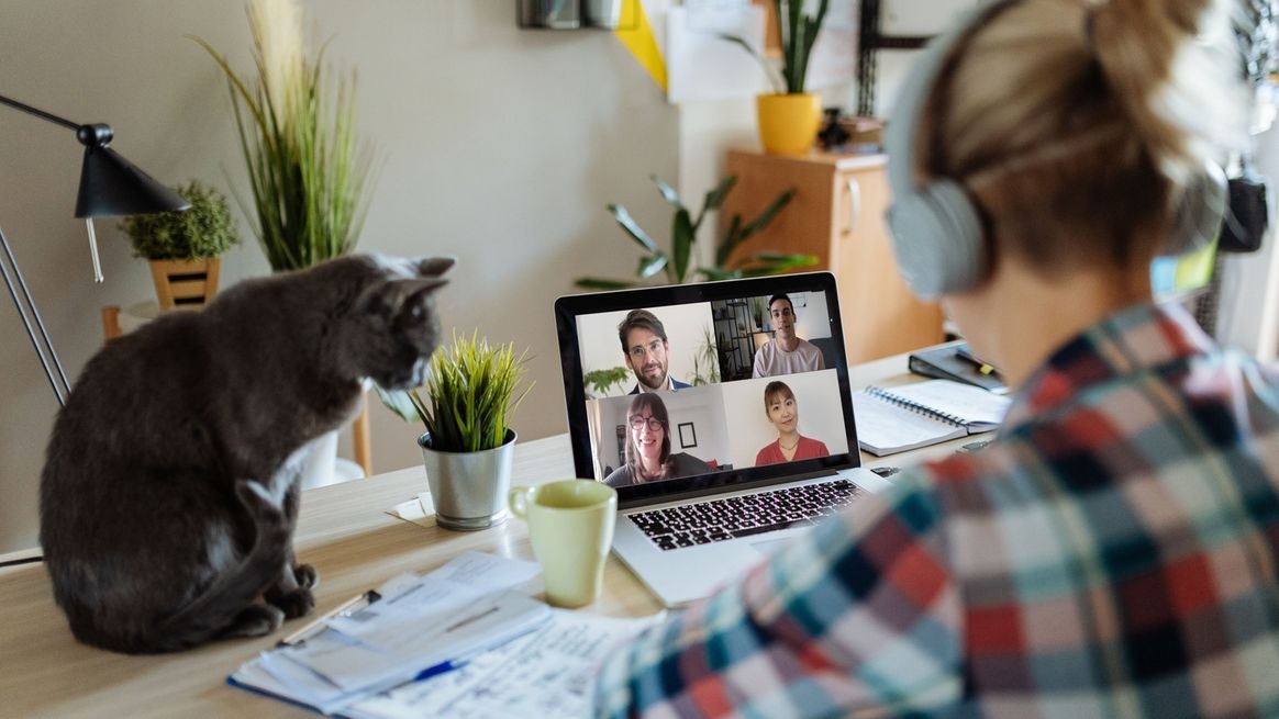 Eine Frau sitzt mit einem Headset an einem Schreibtisch vor einem Notebook. Sie blickt auf einen Monitor, auf dem vier Personen in einer Videokonferenz zu sehen sind. Auf dem Tisch sitzt eine Katze.
