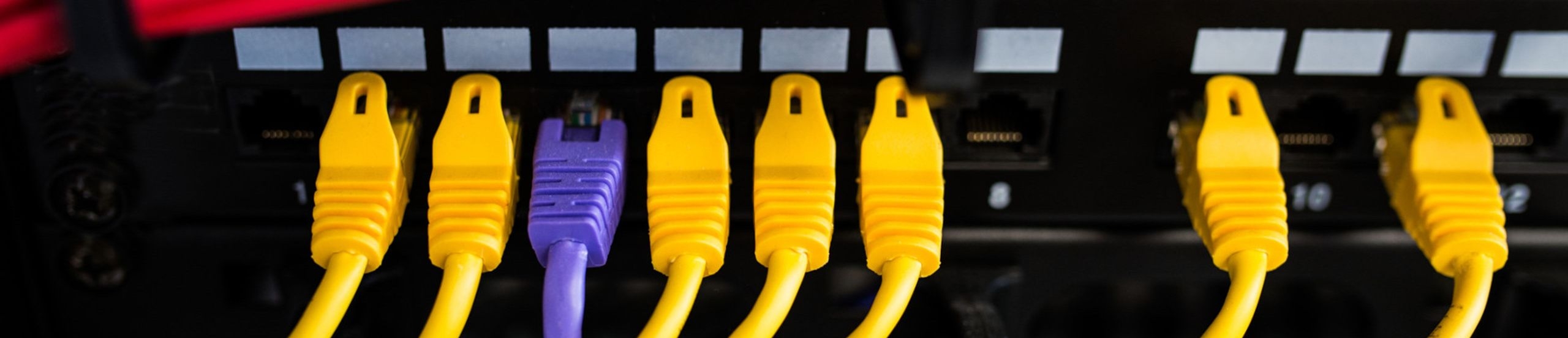 Bunte Ethernet-Kabel stecken in einem Switch
