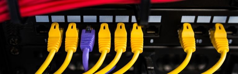 Bunte Ethernet-Kabel stecken in einem Switch