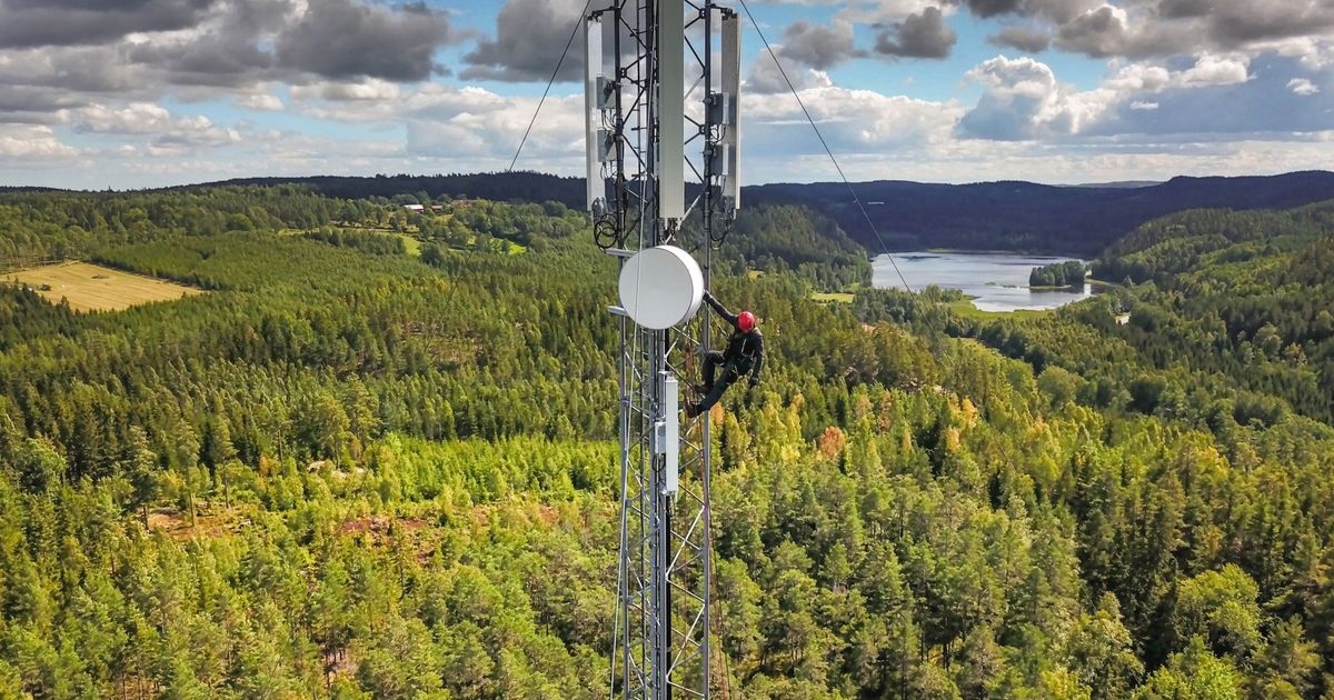 Ein Arbeiter klettert auf einen Funkmast in einem Wald.