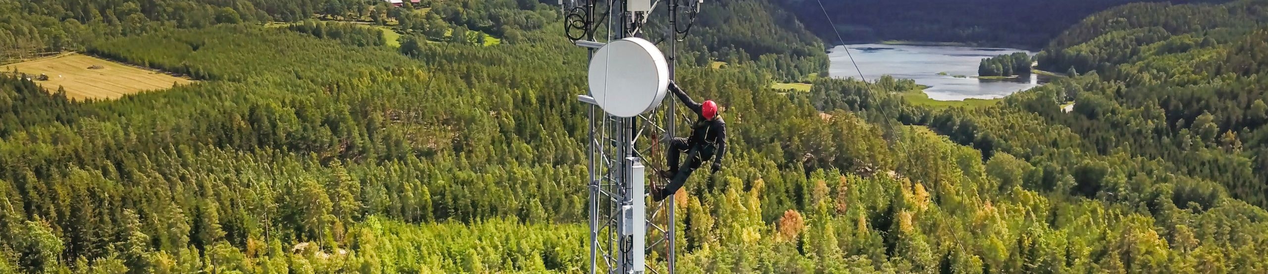 Ein Arbeiter klettert auf einen Funkmast in einem Wald.