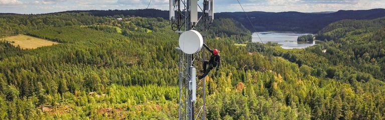 Ein Arbeiter klettert auf einen Funkmast in einem Wald.