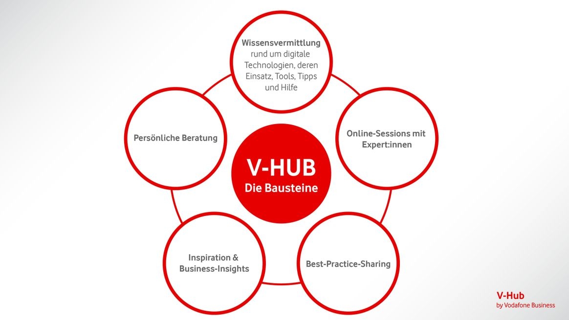 Grafische Darstellung der inhaltlichen Bausteine des V-Hub