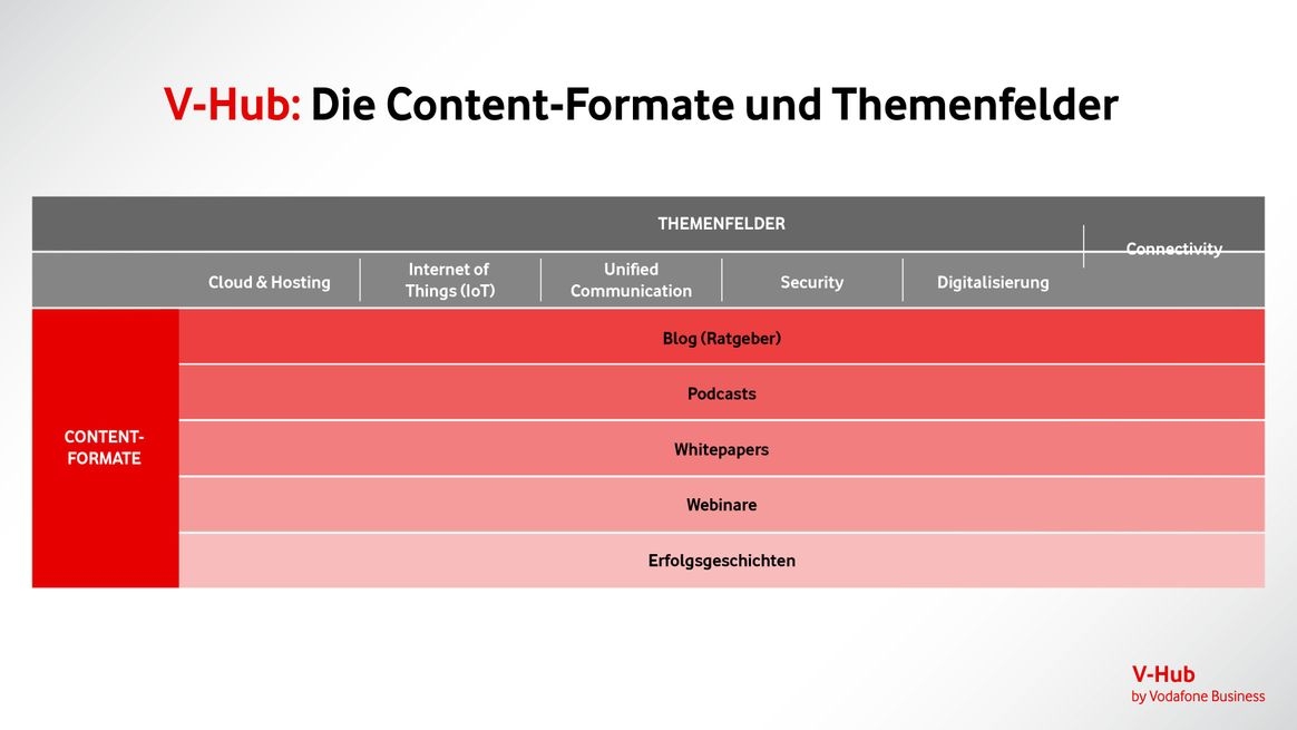Matrixdarstellung der Content-Formate und der damit verknüpften Themenfelder im V-Hub