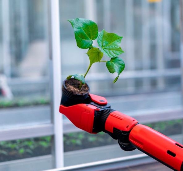 Roboter hält Pflanze