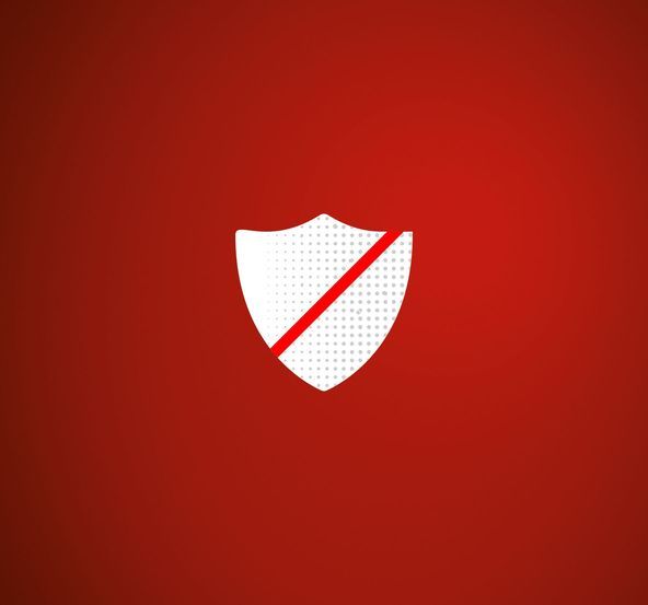 Logo: Secure Net
